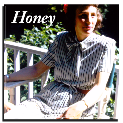 honeybuzz-photo-icons-honeysquare